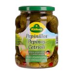 pepinos_ale_kuhne_670_g