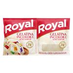gelatina_em_po_royal_sem_sabor_branca_24g