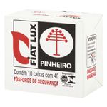 fosforo_de_seguranca_fiat_lux_pinheiro_10_unidades