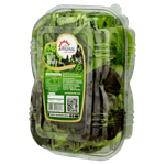 alface_premier_mista_chacara_bertolin_150g