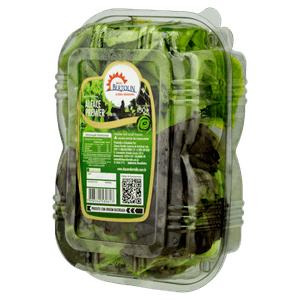 Alface Premier Mista Chácara Bertolin 150g