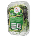 alface_lisa_premier_chacara_bertolin_150g