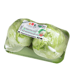 alface_americana_organicos_do_sul