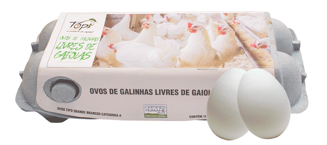 Ovos Cage Free Galinhas Livres Branco 10 Unidades