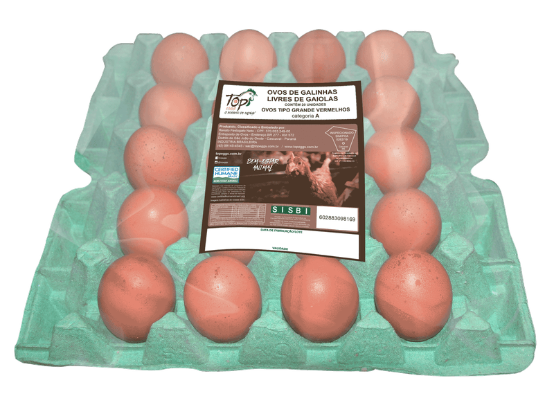 Ovos-Top-Eggs-Galinhas-Livres-Vermelhas-20-Unidades