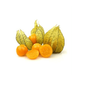 Physalis Bandeja