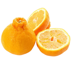 Dekopon Aproximadamente 350g/un