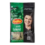 Louro-Kodilar-7g