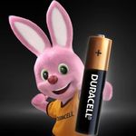 Pilha-Alcalina-Duracell-Recarregavel-AAA-com-4-Unidades-Festval-41333031187-
