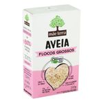 aveia-organica-em-flocos-grossos-mae-terra-caixa-170g-festval-7891150073111