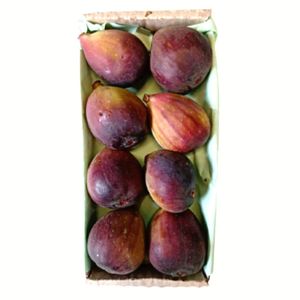 Figo Roxo 300g