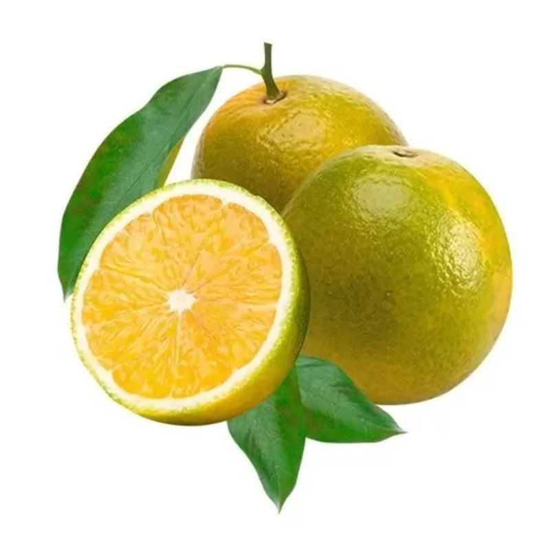 laranja-pera-kg-festval-2282--