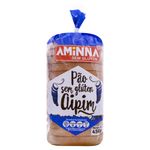 pao-aipim-sem-gluten-aminna-pacote-450g-festval-7898344320129