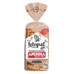 pao-integral-sem-gluten-sem-acucar-aminna-450g-festval-7898344321744