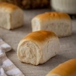 Mini-Bisnaguinha-Festval-280g
