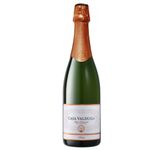 espumante-brasileiro-casa-valduga-arte-brut-750ml-festval-7898276971000