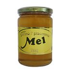 mel-silvestre-divino-mel-450g-festval-7898351280010