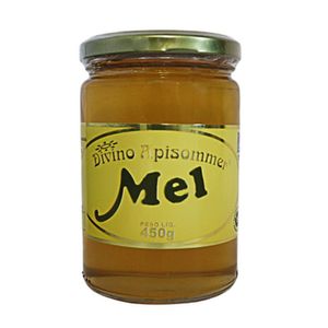 Mel Silvestre Divino Mel 450g