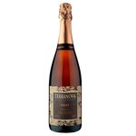 espumante-brasileiro-terra-nova-brut-750ml-festval-7896756801540