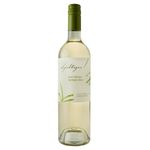 vinho-chileno-apaltagua-gran-verano-sauvignon-blanc-750ml-festval-7804606600168