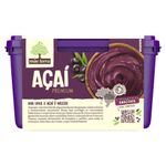 sorbet-acai-mae-terra-premium-pote-15l-festval-7891150086319