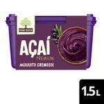 sorbet-acai-mae-terra-premium-pote-15l-festval-7891150086319