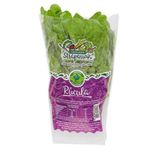 rucula-hidroponica-strapasson-300g-festval-7898092940044-