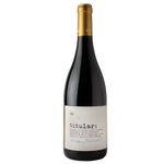 vinho-portugues-dao-reserva-titular-750ml-festval-5600765407257