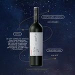7790717000730---Vinho-Tinto-Bodega-Dante-Robino-Legado-Malbec-750-ml-Garrafa---4.jpg