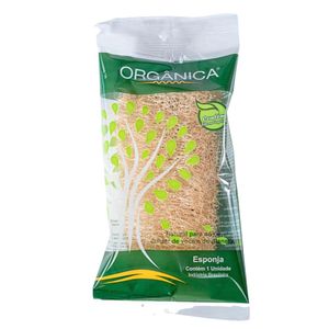 Bucha Vegetal Natural Orgânica em Pedaço Unidade