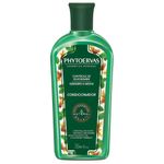 condicionador-controle-de-oleosidade-gengibre-e-menta-phytoervas-250ml-festval-7896044955115