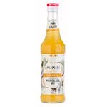xarope-experience-pinacolada-mix-monin-330ml-festval-3052911593314