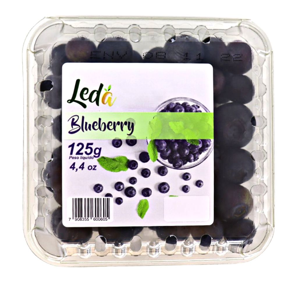 Mirtilo Importado Leda 125g