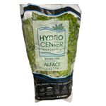 alface-mimosa-hidrocenter-unidade-festval-7898237610122