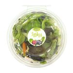 salada-baby-lisa-festval-100g-33056265