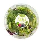 salada-italiana-festval-60g-festval-33274096
