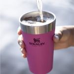 copo-termico-de-cerveja-stanley-azalea-sem-tampa-473ml-festfval-7891108081366