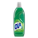 lava-roupas-finas-e-delicadas-ola-antibac-1l-festval-7509546668864