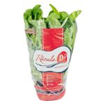 rucula-hidroponica-chacara-bertolin-d--festval-7898342580563