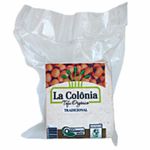 queijo-tofu-tradicional-organico-la-colonia-500g-festval-7897463000714