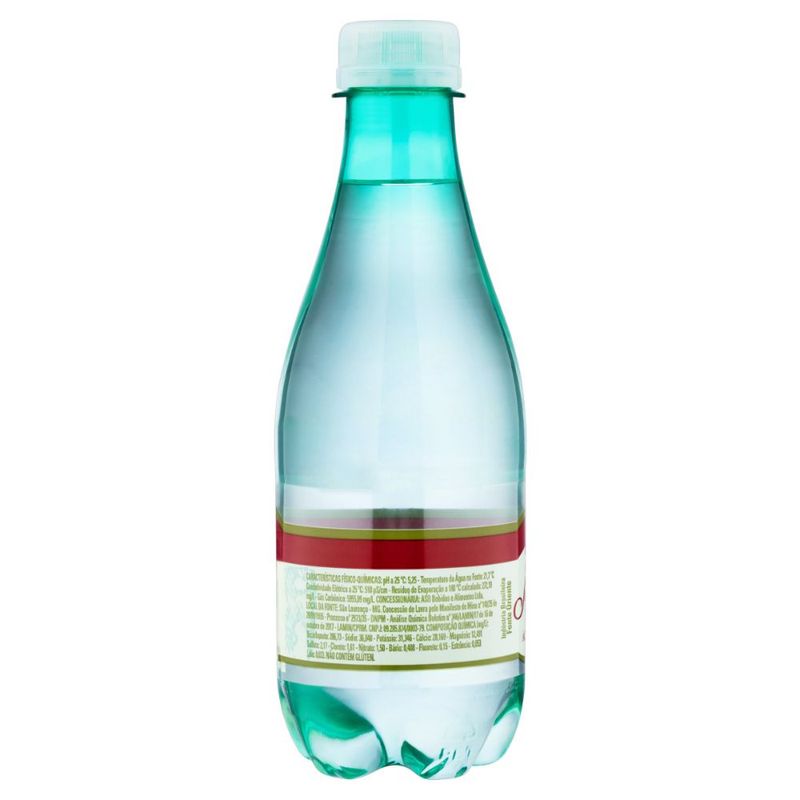 agua-mineral-natural-com-gas-sao-lourenco-garrafa-300ml-festval-7896062801203