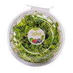 alface-crespa-festval-100g-festval-33274331