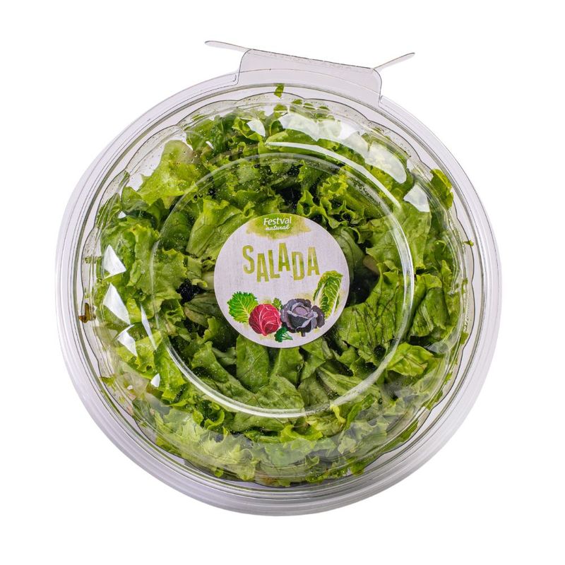alface-crespa-festval-100g-festval-33274331