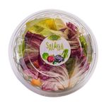 salada-tropical-festval-100g-festval-33287157