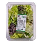 salada-organica-garden-rio-de-una-200g-festval-7898059851079