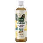 kombucha-festval-cha-mate---limao-300ml-festval-7908073102757