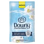 amaciante-de-roupa-concentrado-brisa-suave-downy-sache-16l-refil-festval-7500435243629