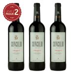 vinho-espanhol-concilio-tempranillo-tinto-750ml-leve-3-pague-2-kit-pronto-33292311