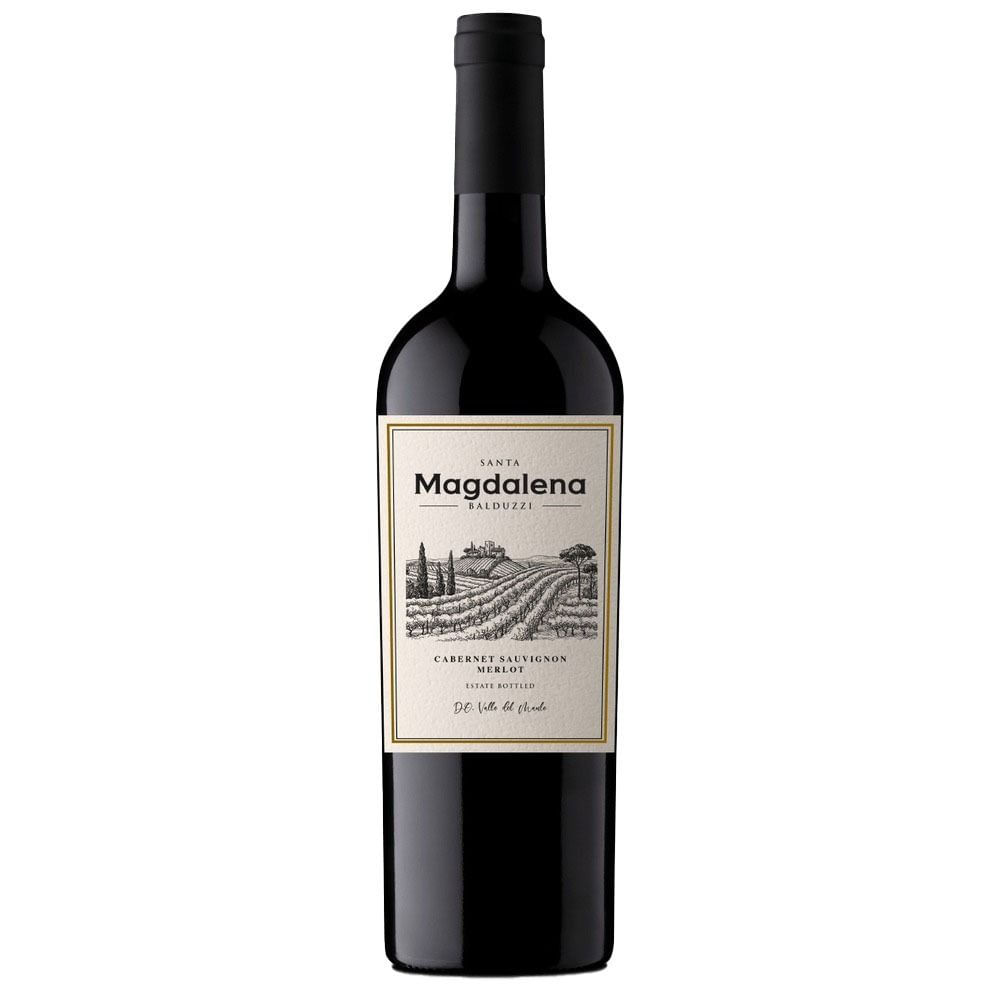 Vinho Chileno Balduzzi Santa Magdalena Garrafa 750ml