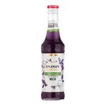 xarope-monin-experience-violeta-garrafa-330ml-